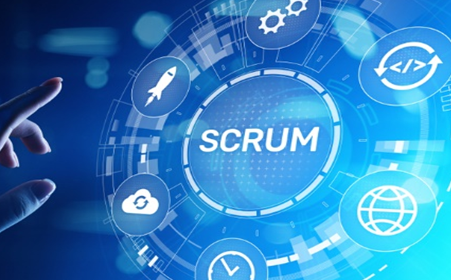 Professional Scrum Product Owner