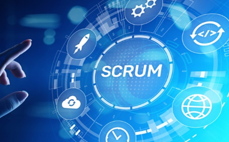 Professional Scrum Series